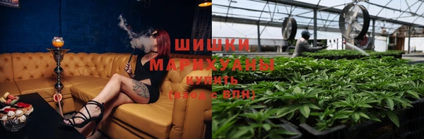 тгк Аркадак
