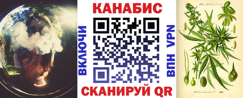 где найти наркотики  Муравленко  Марихуана сатива 